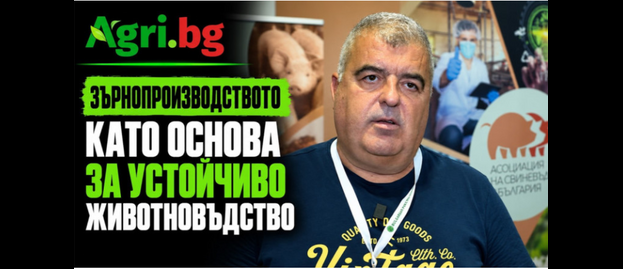 свиневъдство прасе новини Зърнопроизводството като основа за устойчиво свиневъдство